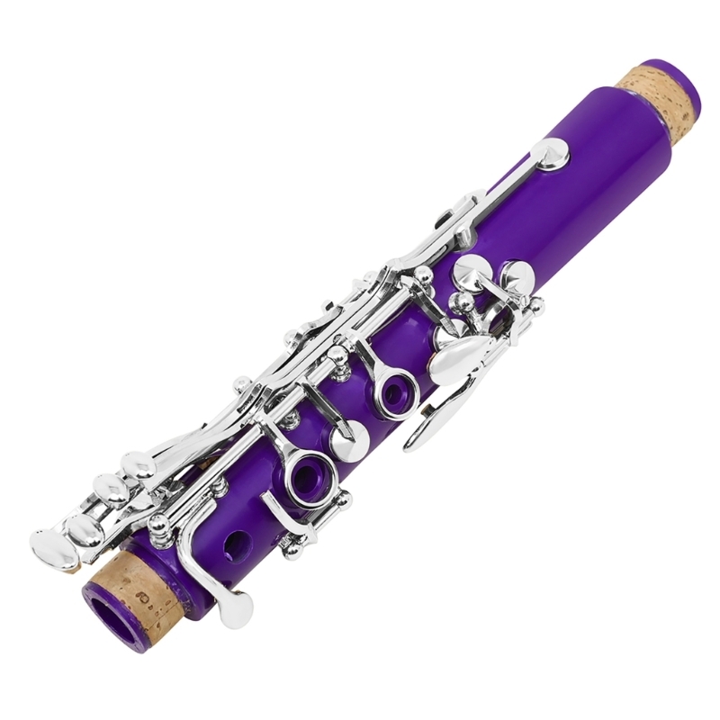Musical Instrument In Orchestra - 17-Tasten-Schüler-Klarinetteninstrumentenset aus Kunststoff mit Tragetasche, Reinigungstuch