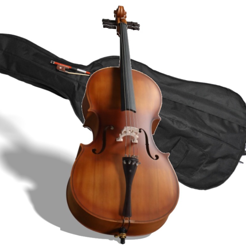 Musical Instrument In Orchestra - 4/4 matte natürliche Farbe BASSWOOD Panel