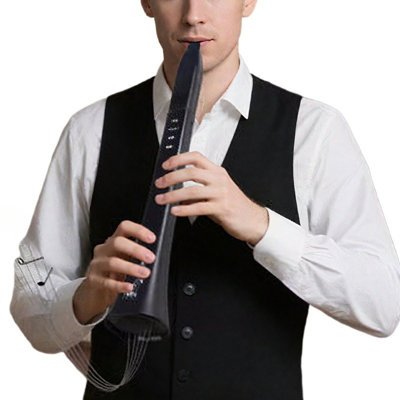 Tragbares elektronisches Blasi – Musical Instrument With A Bewertung und Preis