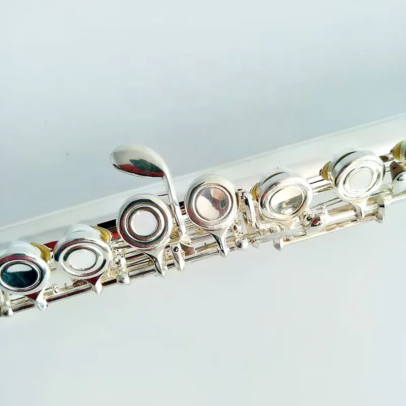 16/17-Loch Versilberte Flöte m – Musical Instrument In Orchestra Bewertung und Preis